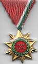 Hungary WW2 Anniversary Star