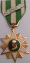 South Vietnam Campaign Medal - Swing Type