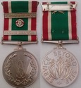 WRVS Medal With Clasps